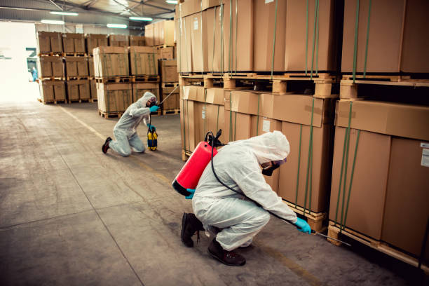 Best Bed Bug Extermination  in Central Garage, VA