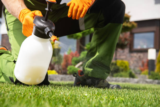  Central Garage, VA Pest Control Pros