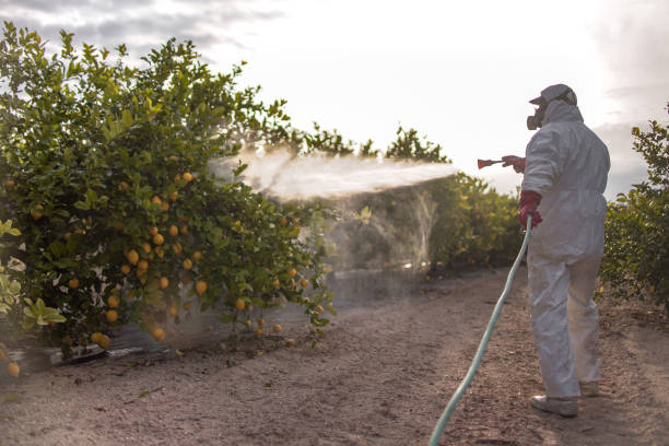 Best Commercial Pest Control Services  in Central Garage, VA