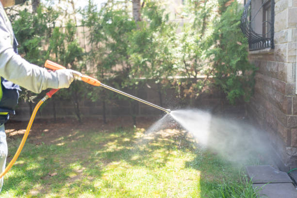 Best Pest Removal Services  in Central Garage, VA