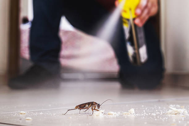 Best Termite Control Services  in Central Garage, VA