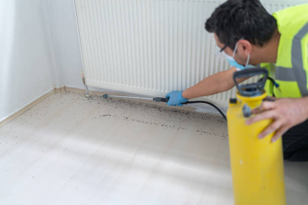 Best Residential Pest Control  in Central Garage, VA